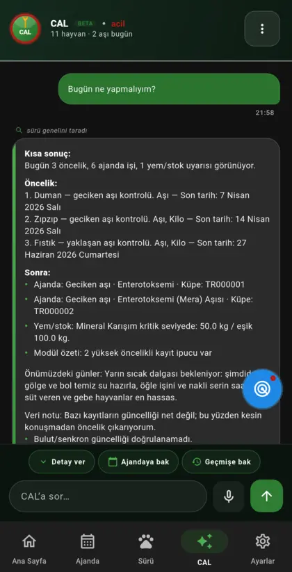 CAL sabah brifi: günün öne çıkan işlerini özetliyor
