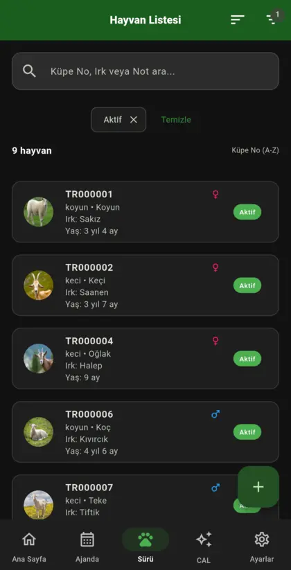 Sürü listesi: küpe numarası, tür ve durum filtreleri
